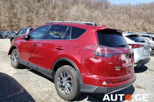 Toyota RAV4 2018 — photo 2