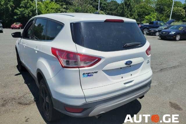 Ford Escape 2014 — photo 2