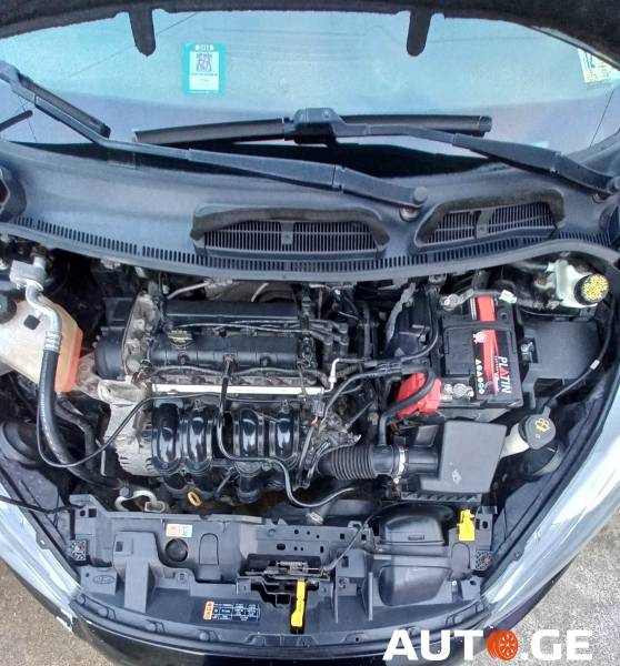 Ford Fiesta 2013 — photo 2