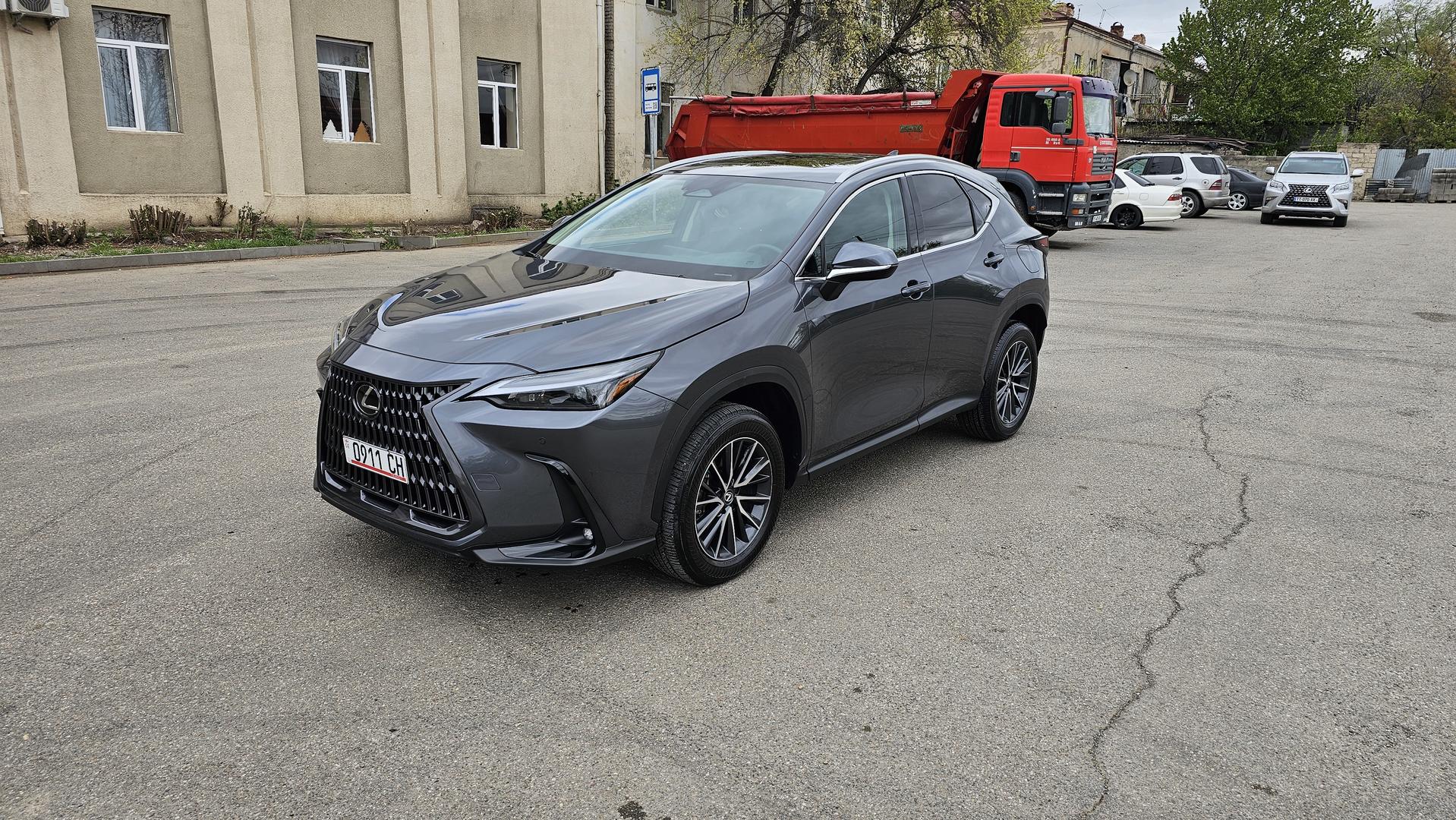 Lexus nx250 2024 — photo 2