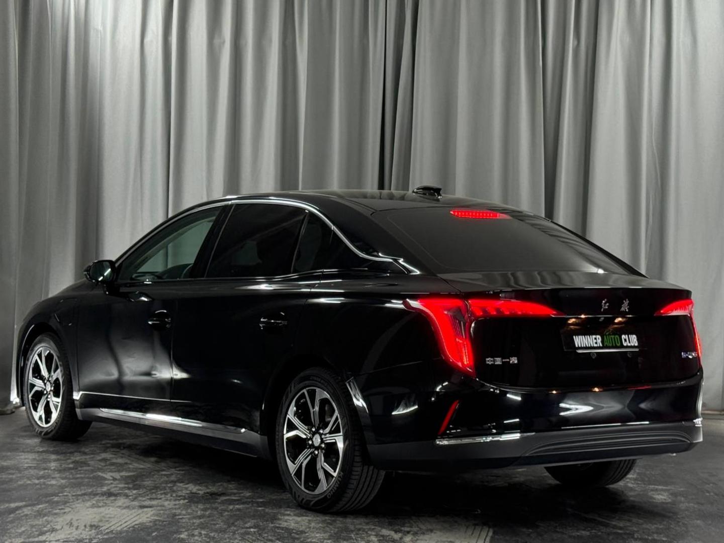 Hongqi E-HS9 2023 — photo 2