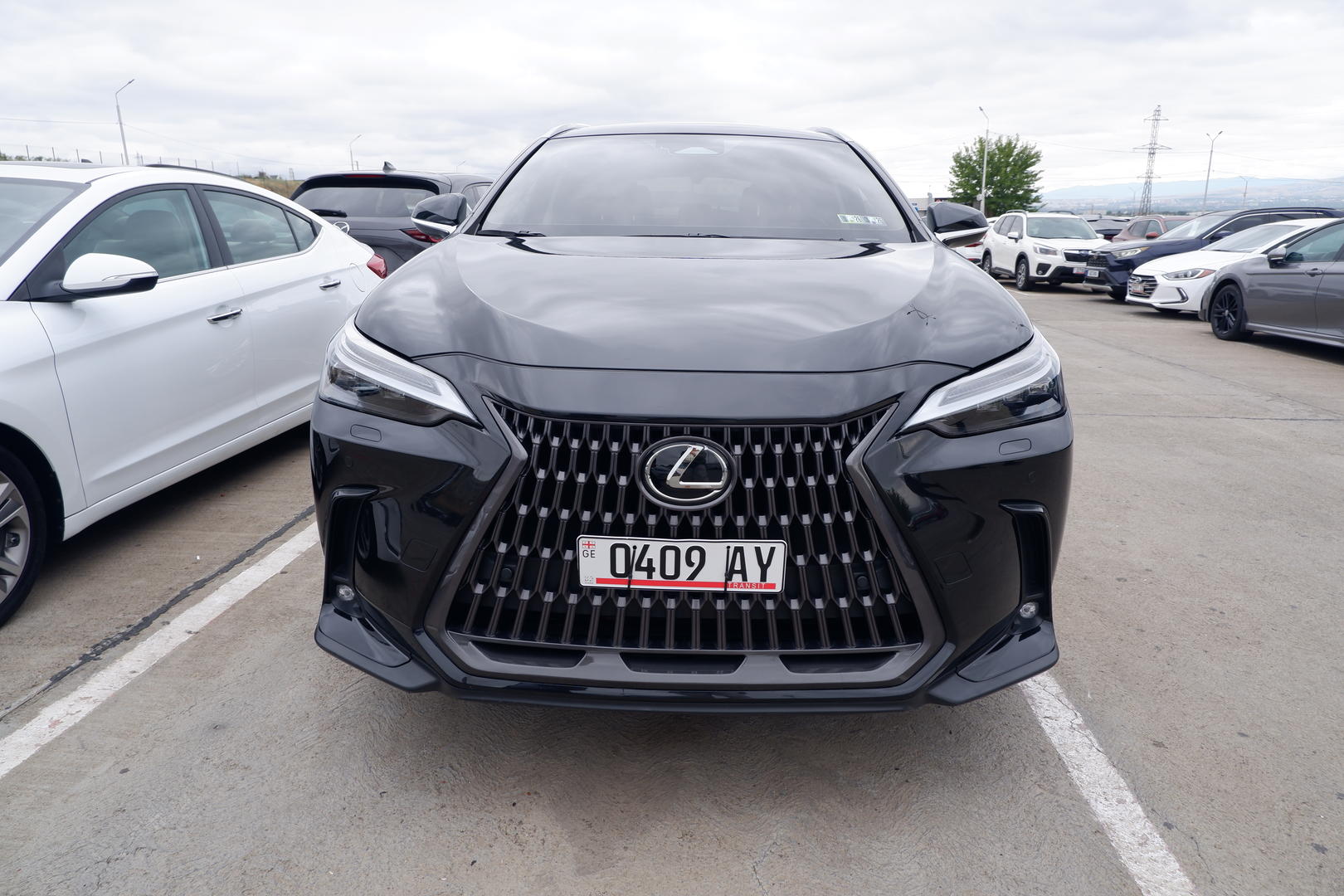 Lexus NX 350 2023 — photo 2