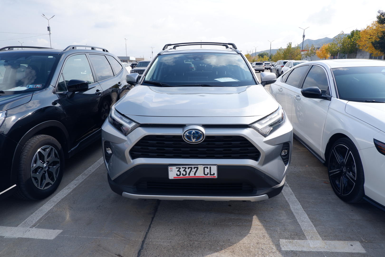 Toyota RAV4 2022 — photo 2