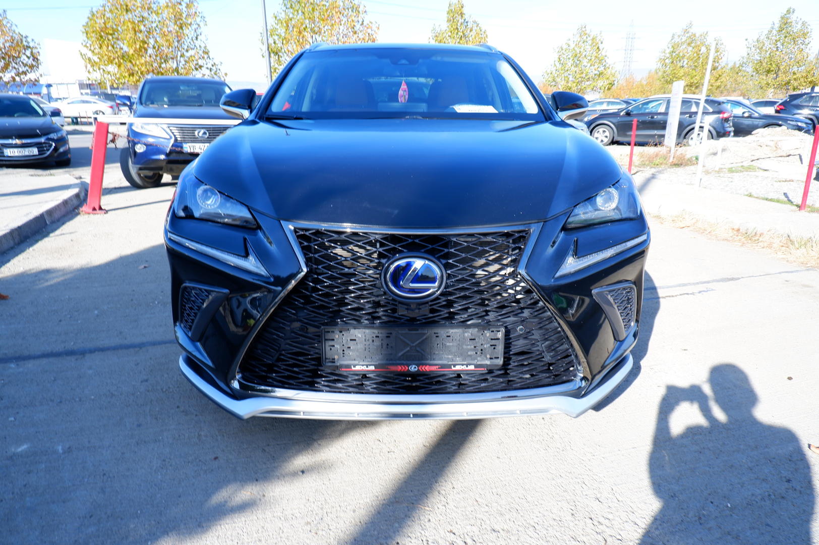 Lexus NX 300 2021 — photo 2