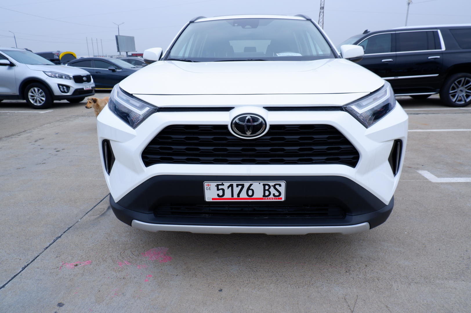 Toyota RAV4 2022 — photo 2