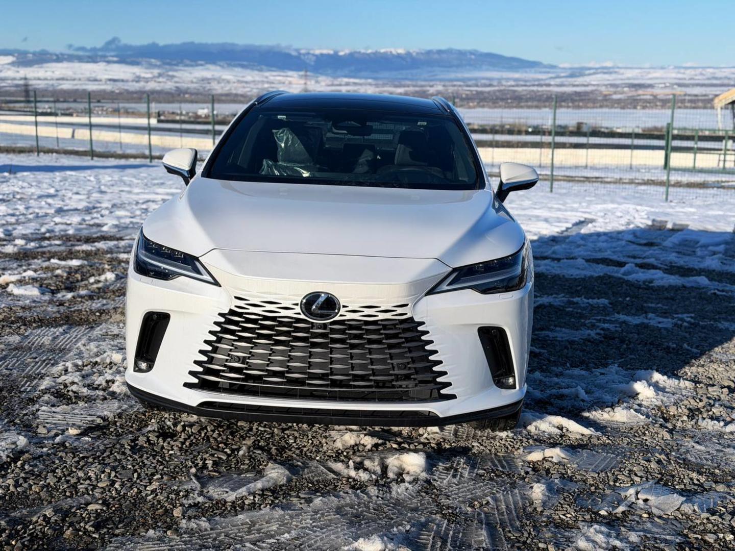 Lexus RX 350 2025 — photo 2