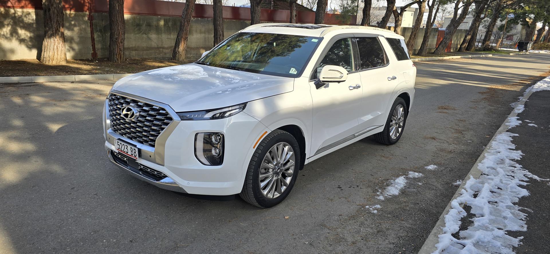 Hyundai Palisade 2019 — photo 2