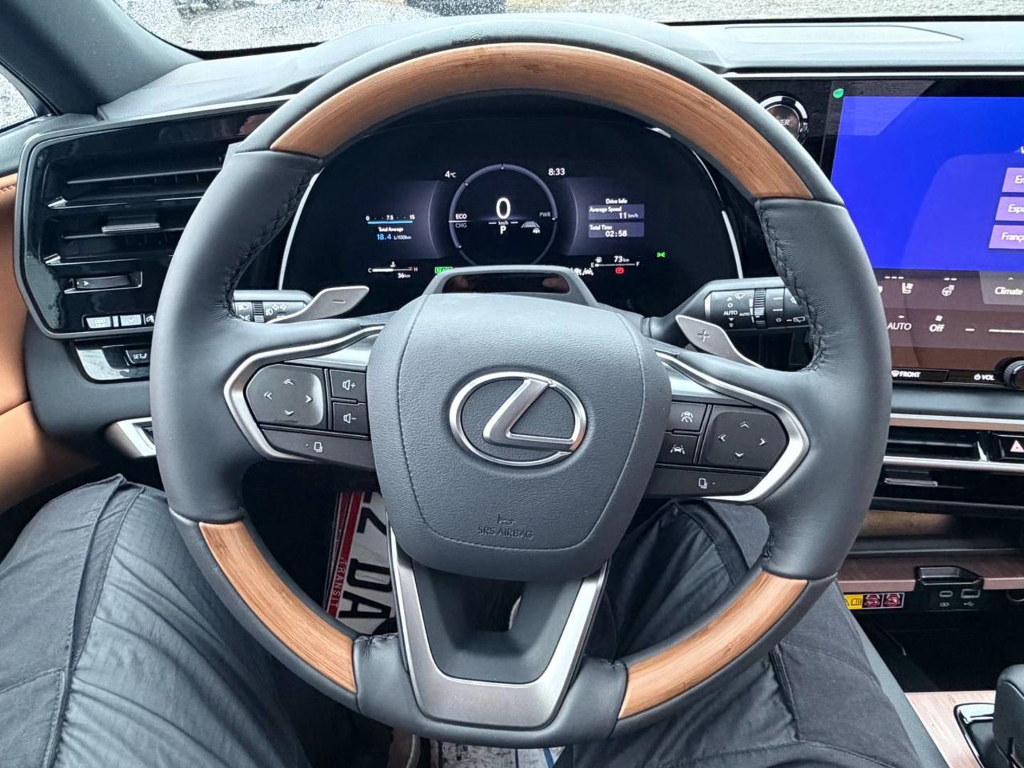 Lexus RX 350 2025 — photo 2