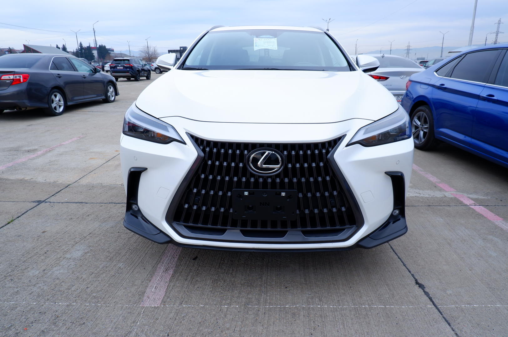 Lexus NX 350 2023 — photo 2