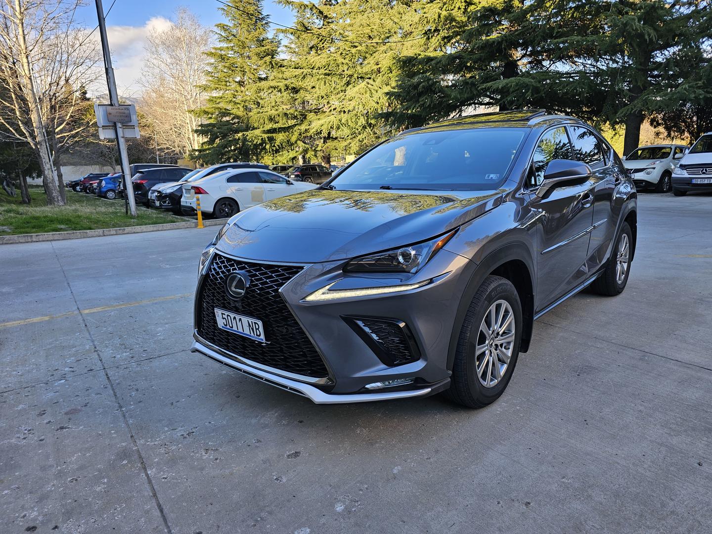 Lexus NX 300