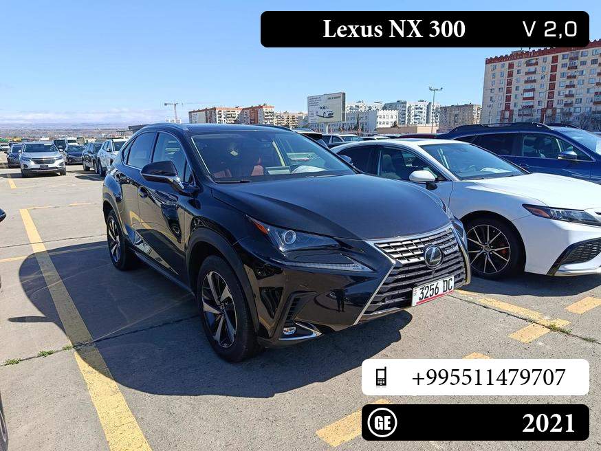 Lexus NX 300