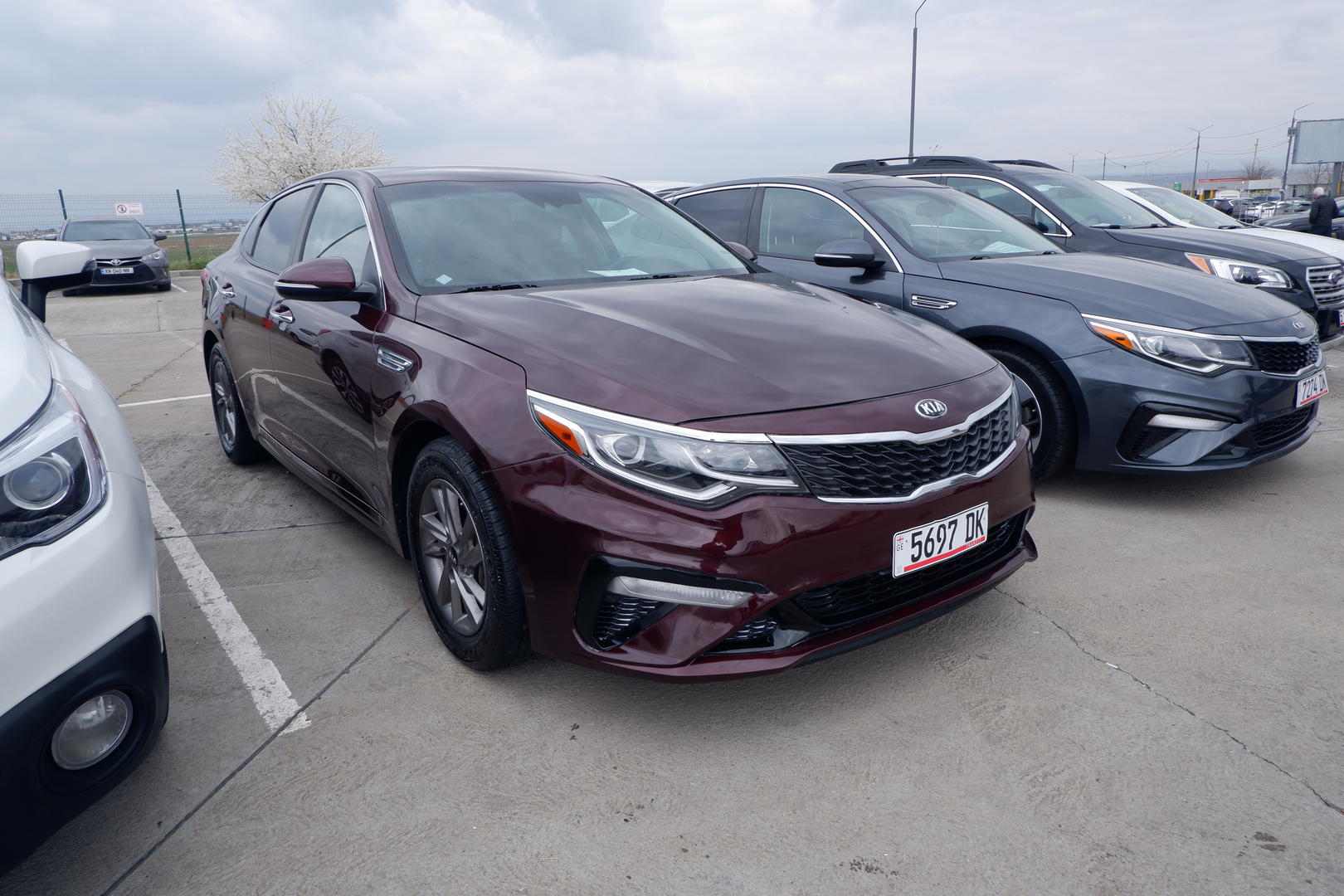 Kia Optima 2019 — photo 2