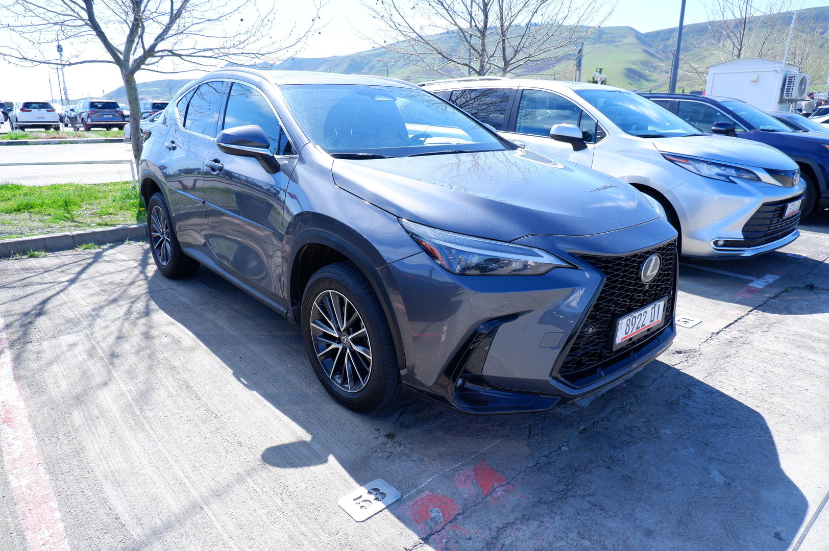 Lexus NX 250 2021 — photo 2