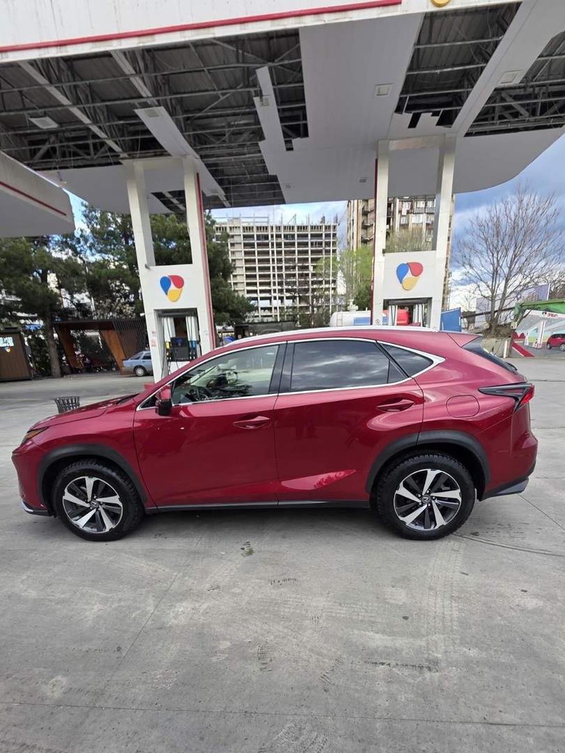 Lexus NX 300 2019 — photo 2
