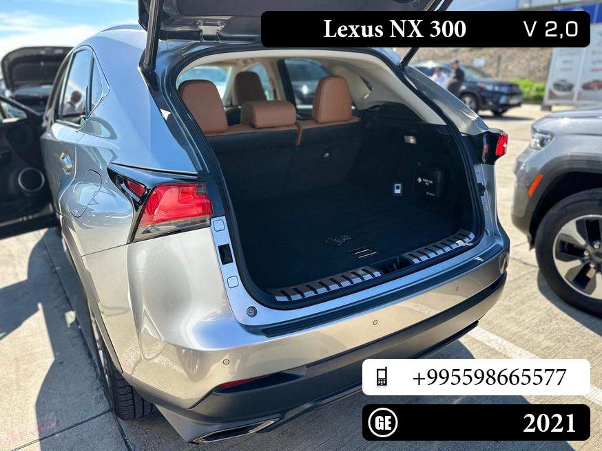 Lexus NX 300