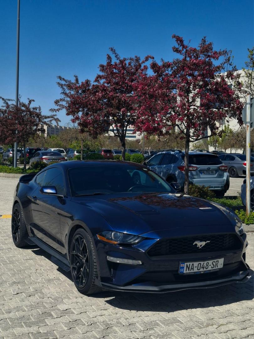 Ford Mustang 2019 — photo 2