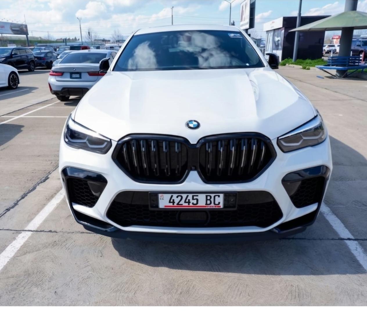 BMW X6