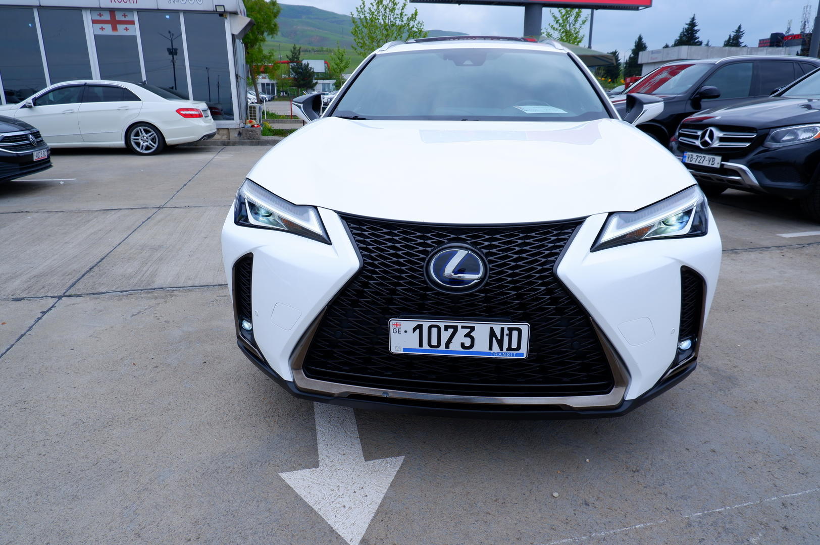 Lexus UX250h 2019 — photo 2