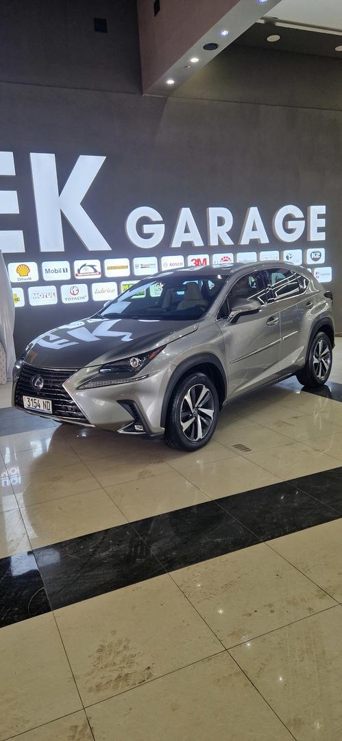 Lexus NX 300 2019 — photo 2