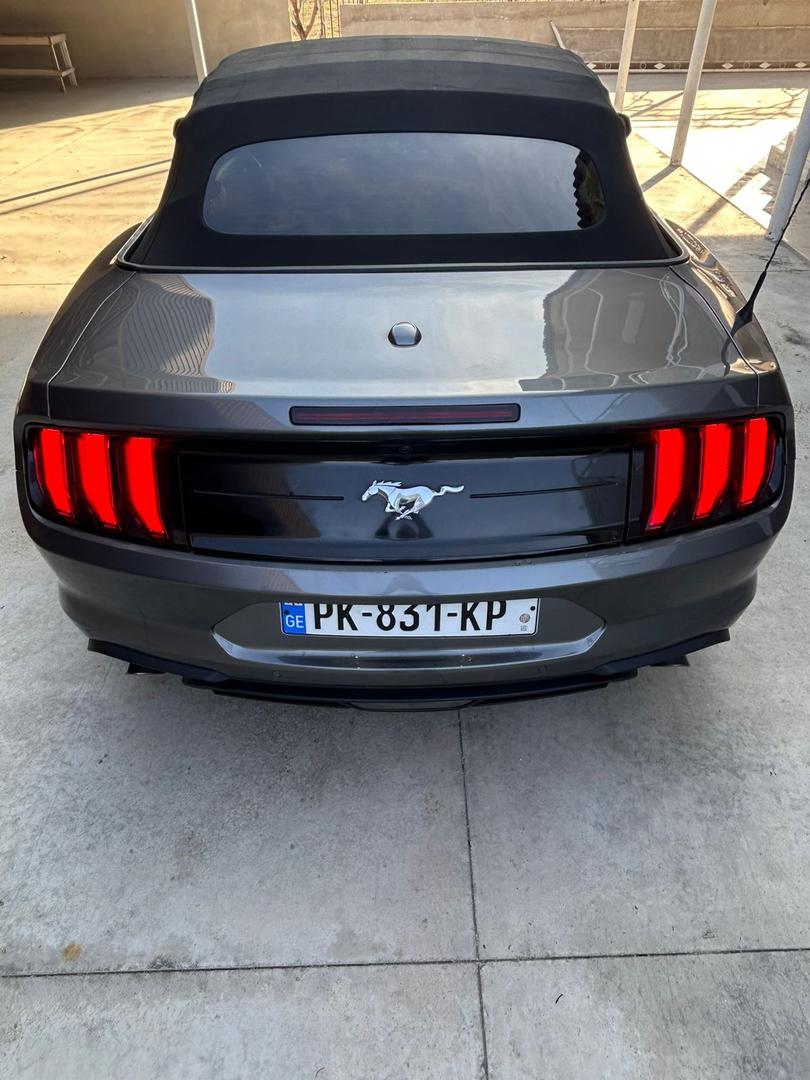 Ford Mustang 2023 — photo 2