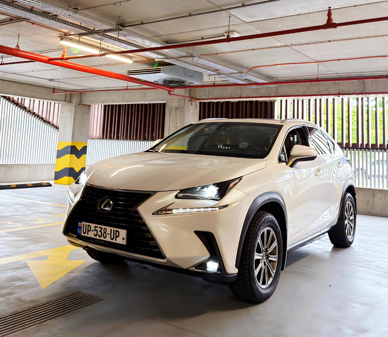 Lexus NX 300 2018 — photo 2
