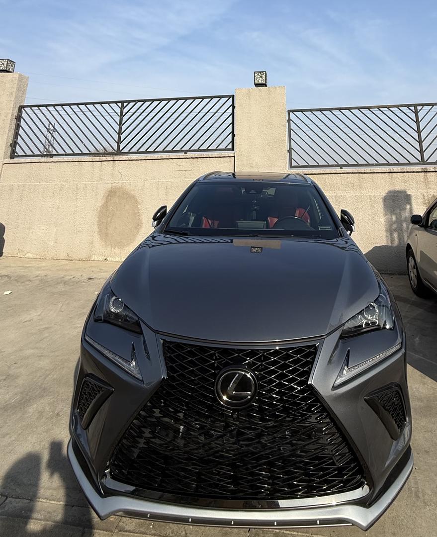 Lexus NX 300 2020 — photo 2
