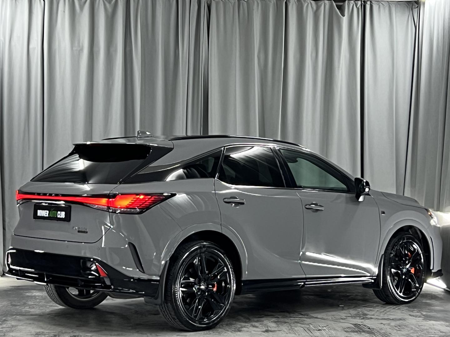 Lexus RX 500 2024 — photo 2