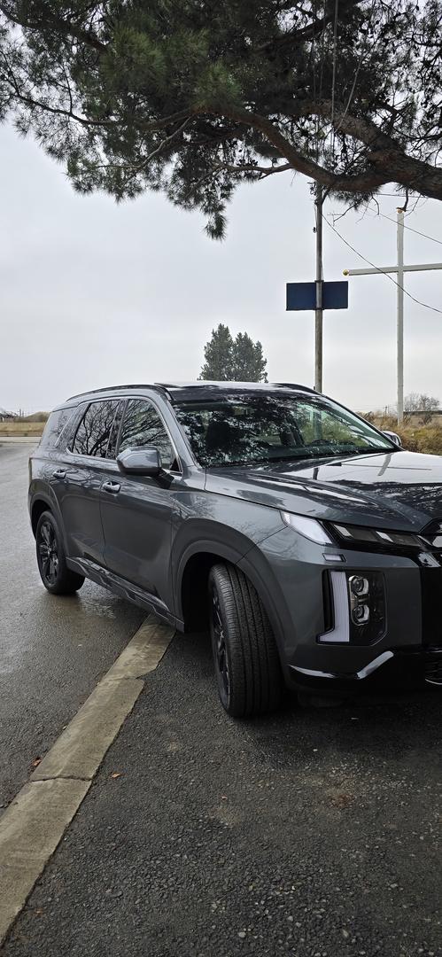 Hyundai Palisade 2023 — photo 2