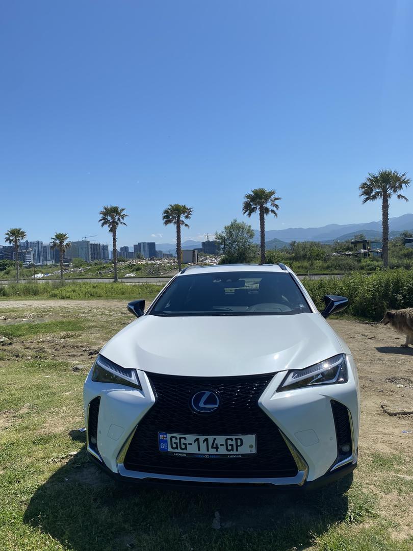 Lexus UX250h
