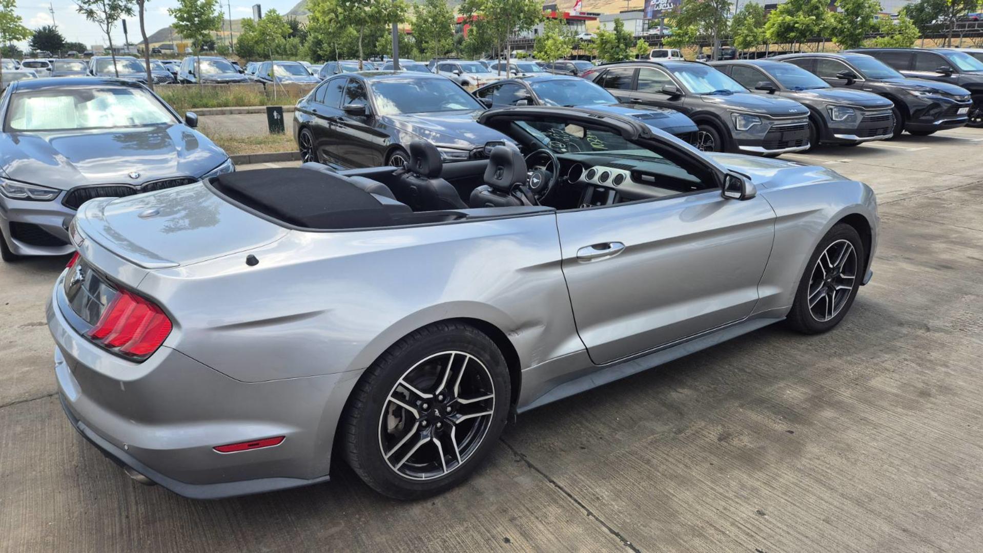 Ford Mustang 2022 — photo 2