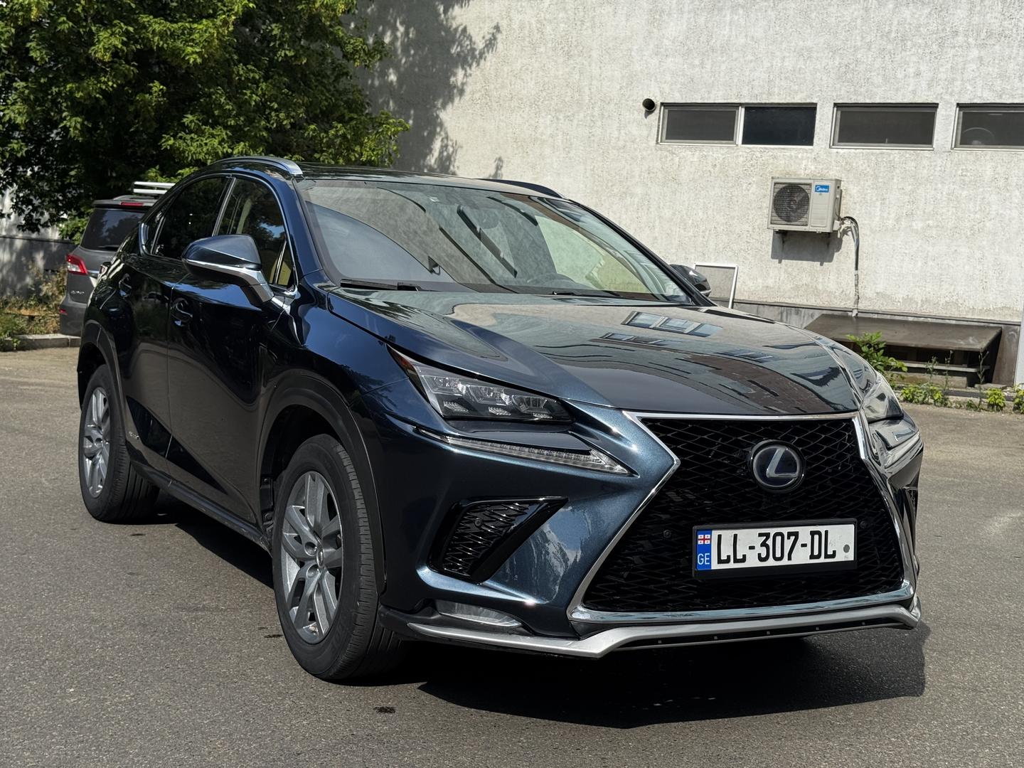 Lexus NX 300
