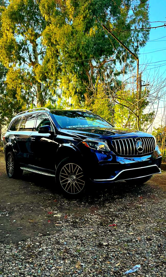 Mercedes-Benz GLS 450 2019 — photo 2