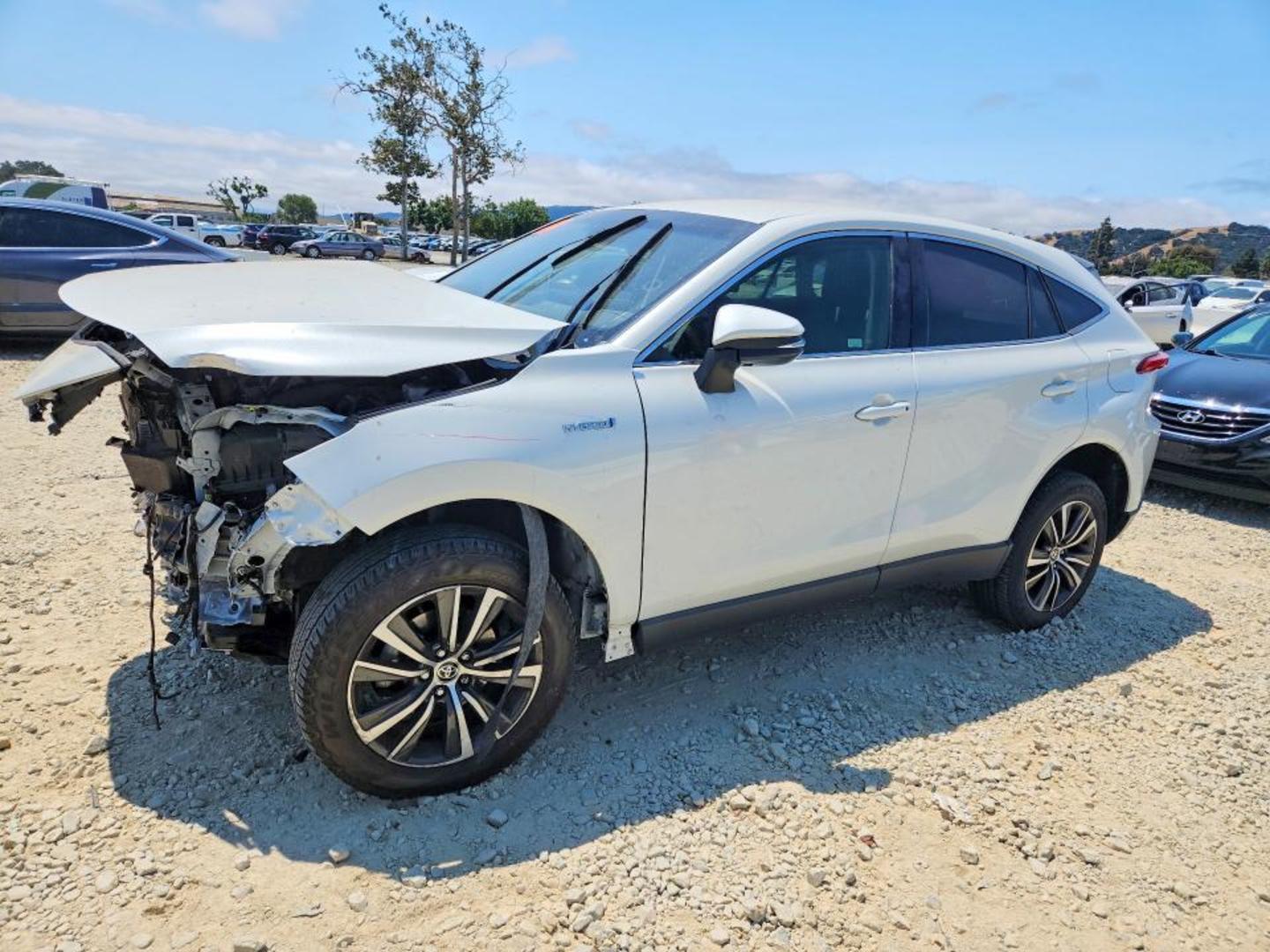 Toyota Venza