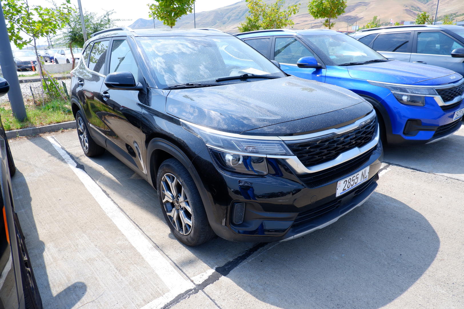 Kia Seltos 2022 — photo 2