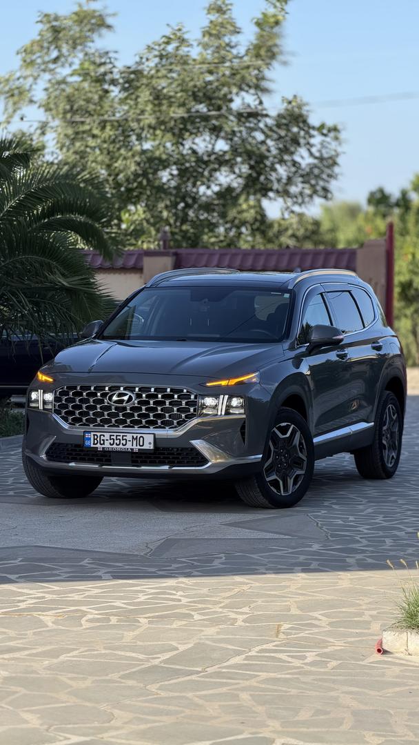 Hyundai Santa Fe 2022 — photo 2