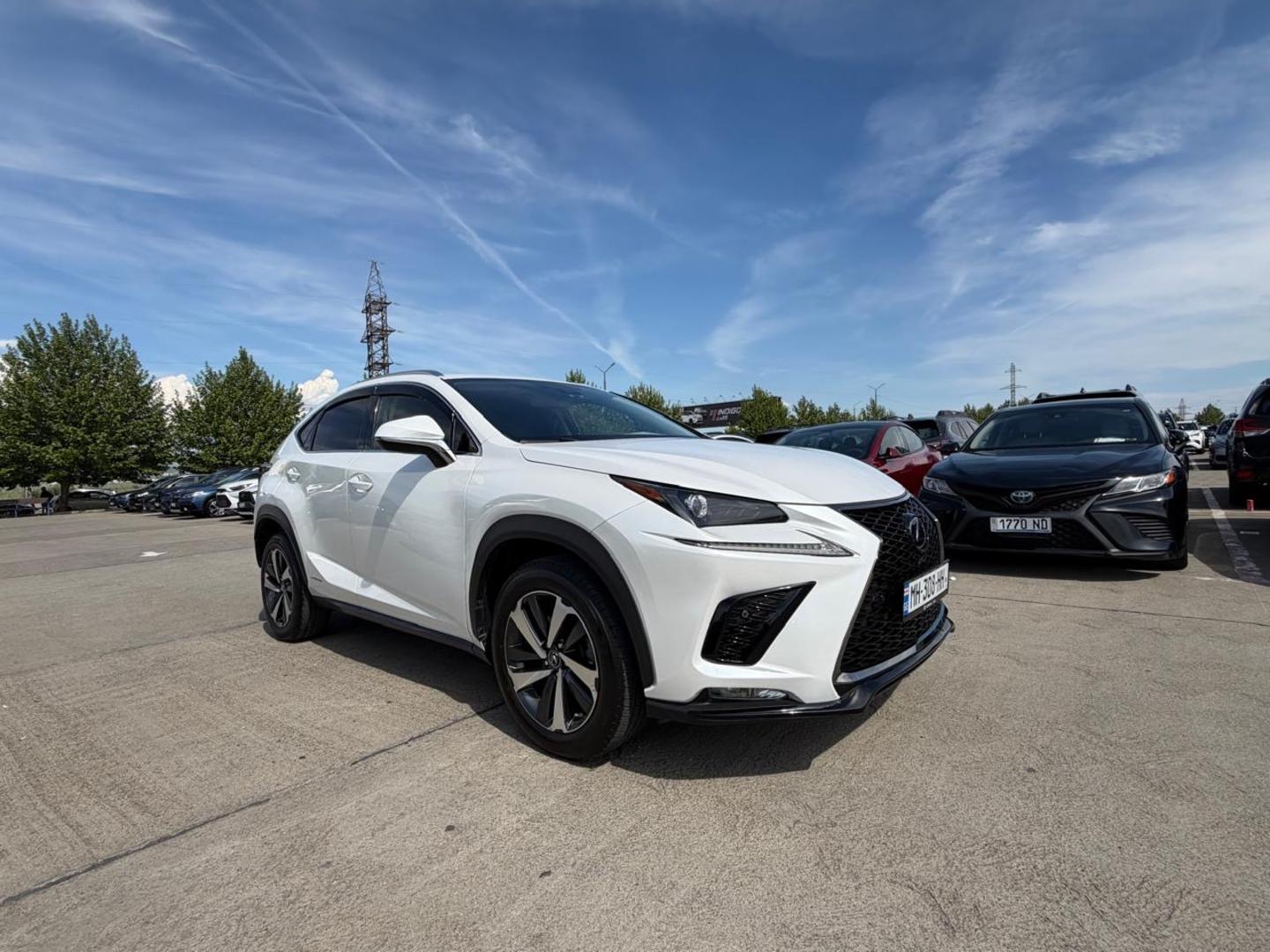 Lexus NX 300 2019 — photo 2