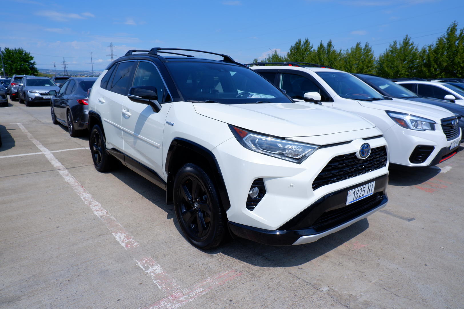 Toyota RAV4 2020 — photo 2