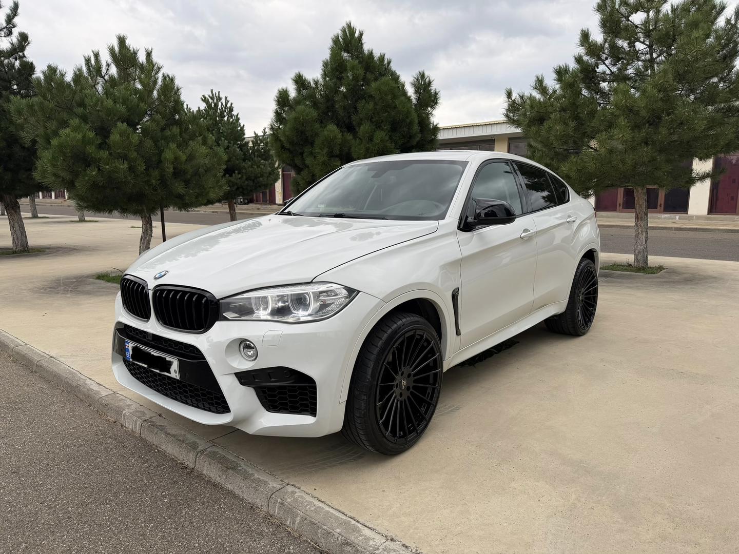 BMW X6