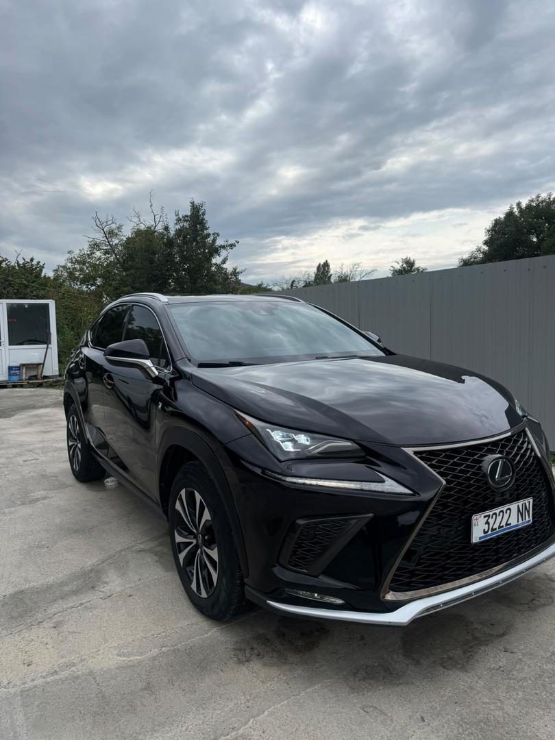 Lexus NX 300 2020 — photo 2