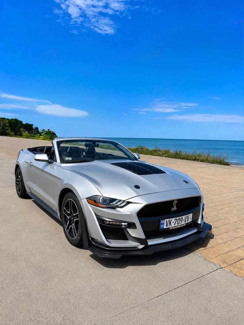 Ford Mustang 2019 — photo 2