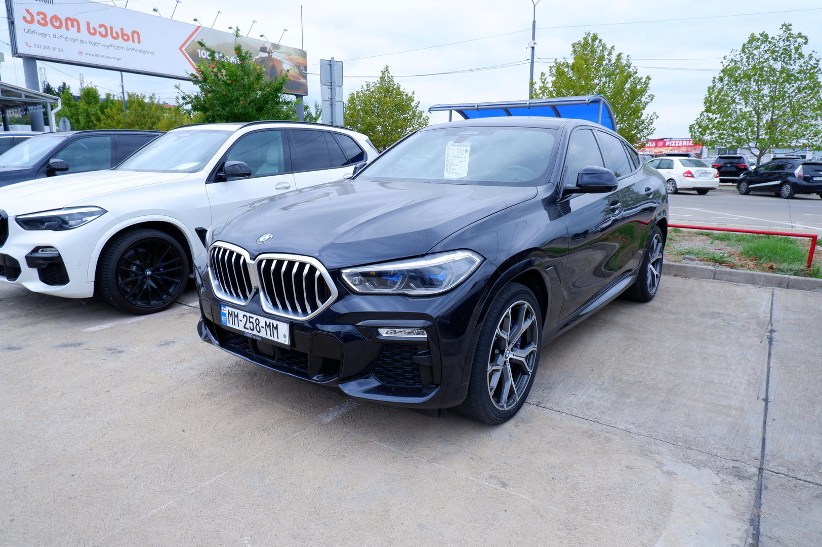 BMW X6