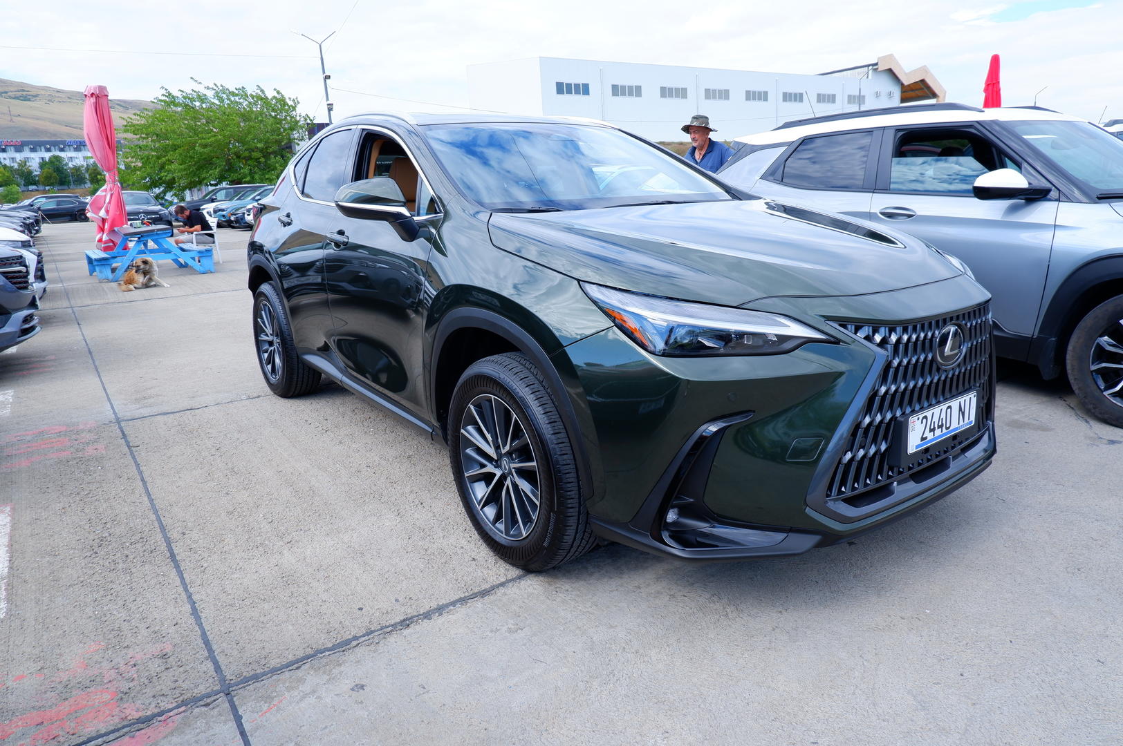 Lexus NX 350 2025 — photo 2