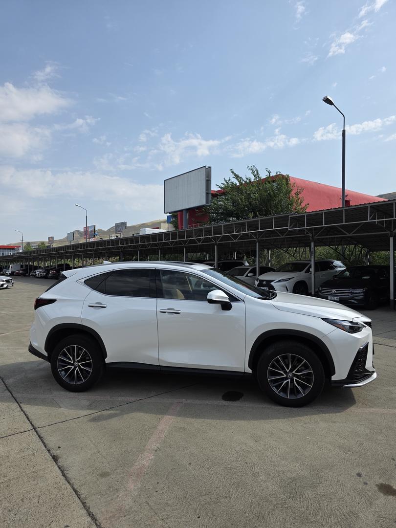 Lexus NX 350