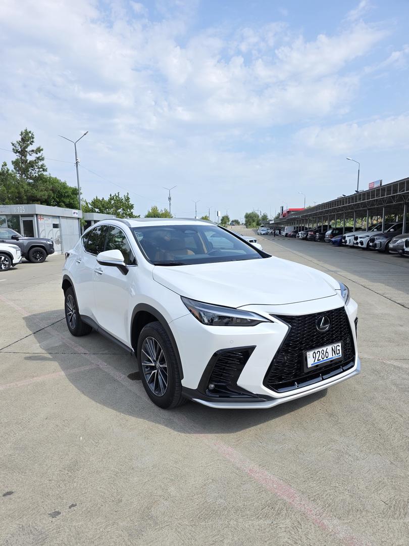 Lexus NX 350 2023 — photo 2