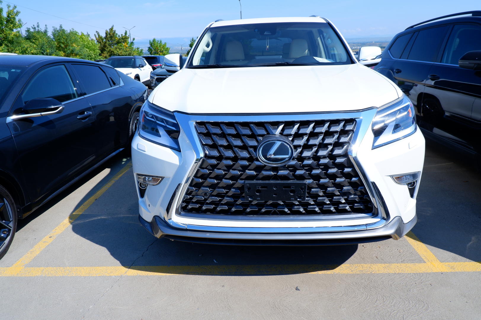 Lexus GX 460 2022 — photo 2
