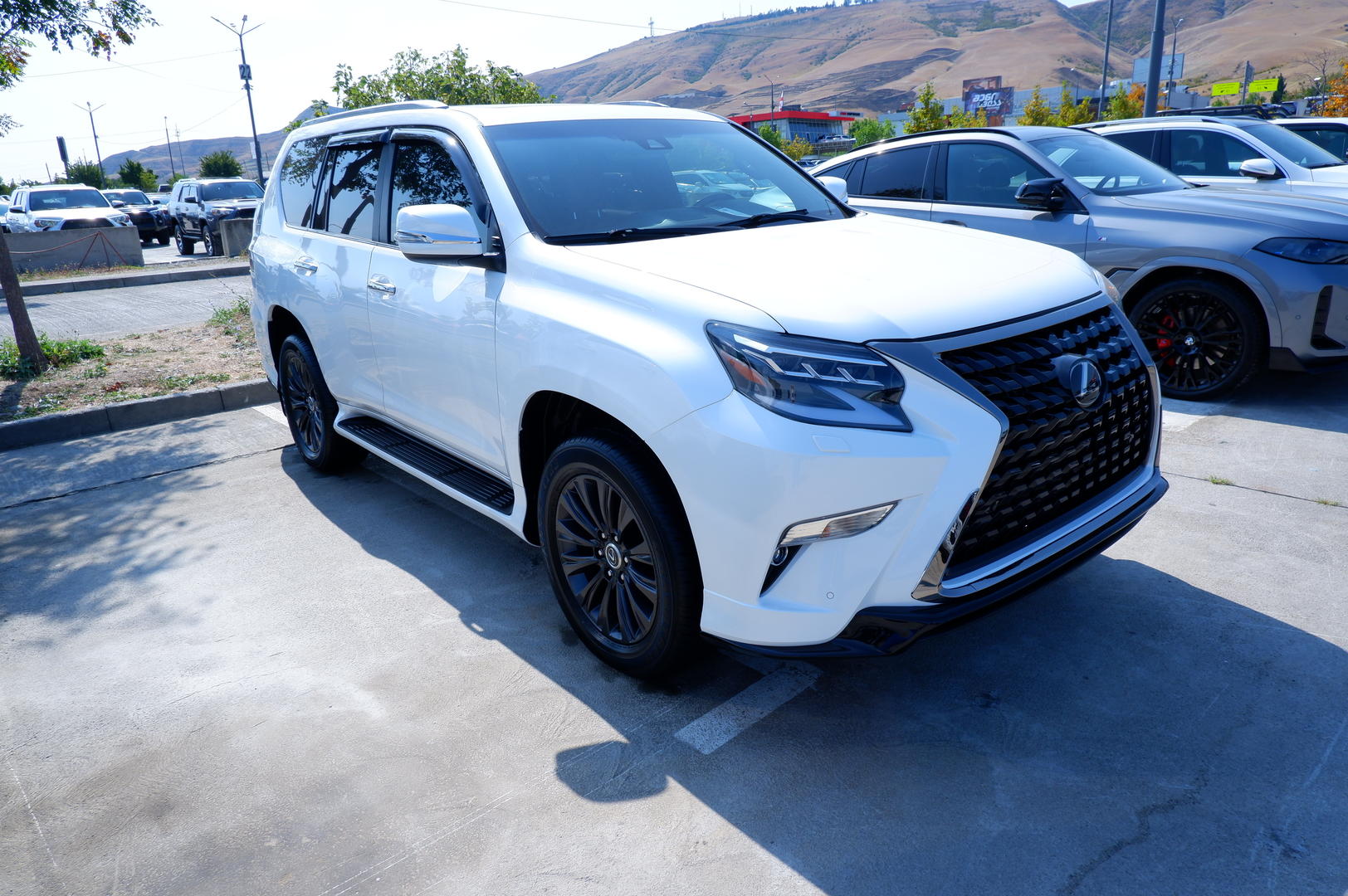 Lexus GX 460 2019 — photo 2