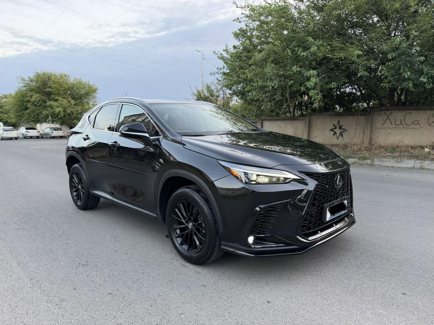 Lexus nx250 2023 — photo 2