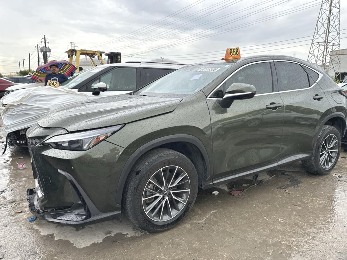 Lexus NX 350 2024 — photo 2