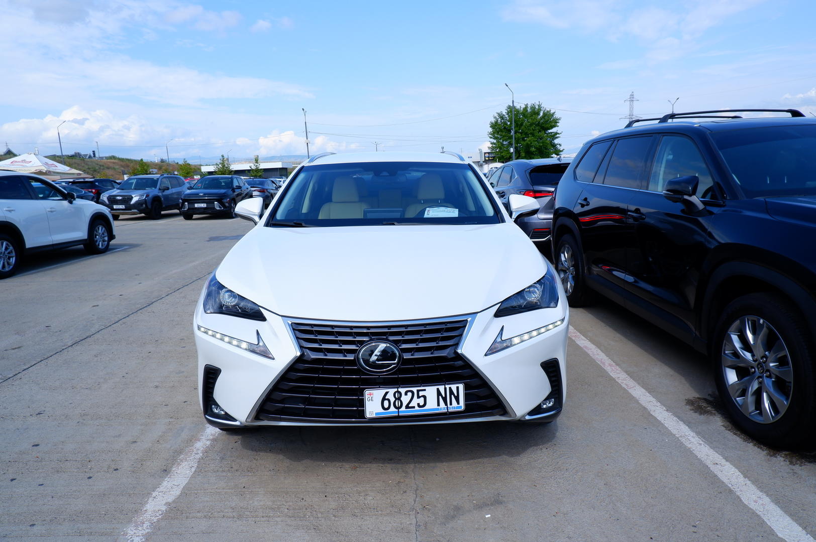 Lexus NX 300 2020 — photo 2
