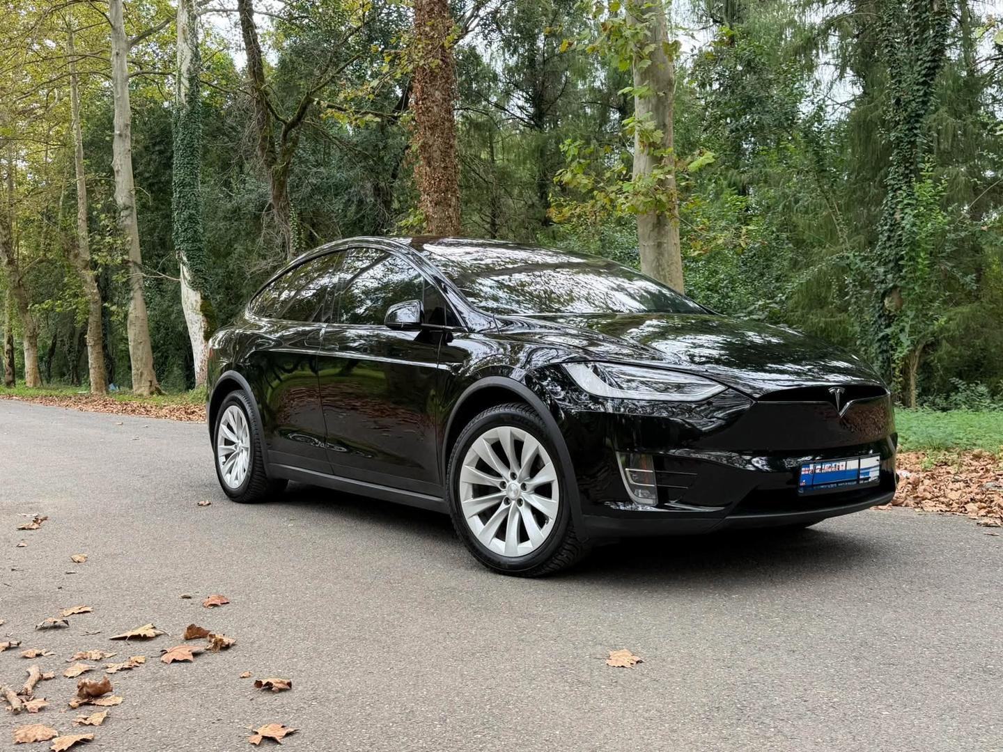 Tesla Model X 2019 — photo 2